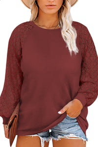 Contrast Lace Sleeve Waffle Knit Top